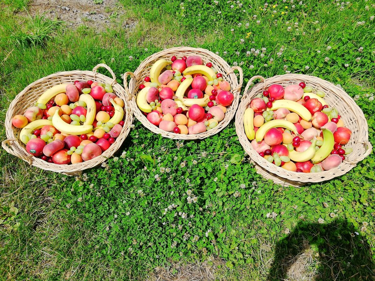 corbeille fruits (8)